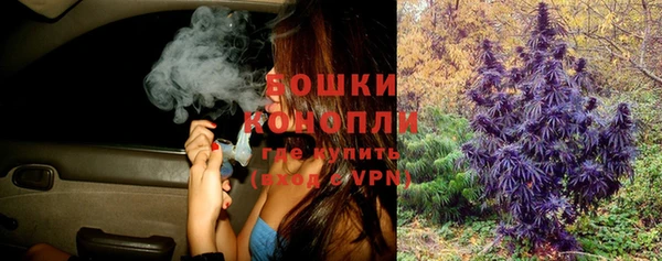 тгк Бородино